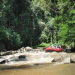 Half-Day Private Ayung Rafting Adventure in Ubud River - Who Should Consider This Tour?