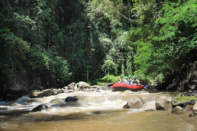 Half-Day Private Ayung Rafting Adventure in Ubud River - Who Should Consider This Tour?