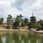 Half-Day Private Guided Tour to Nara City - What You’ll Cover: The Detailed Itinerary
