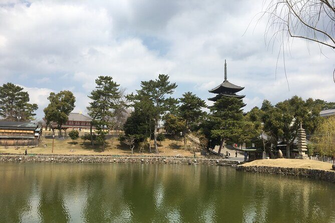 Half-Day Private Guided Tour to Nara City - What You’ll Cover: The Detailed Itinerary