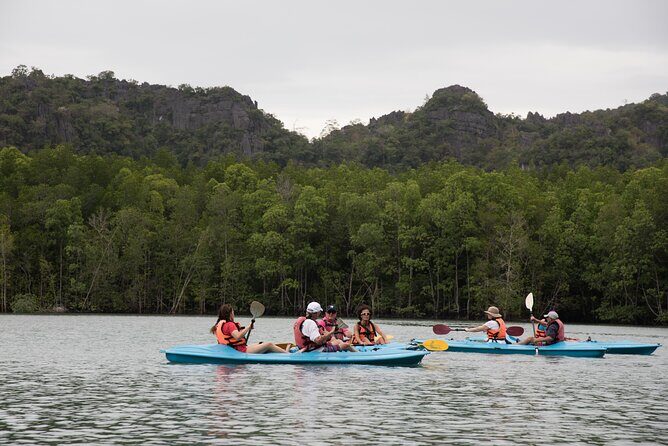 Half Day Private Kayaking Tour in Langkawi - The Bat Caves: A Natural Wonder
