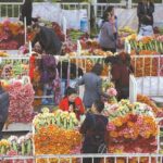 Half Day Private Tour of Kunming Flower Market and Flower Pastry Cooking Class - Who Will Love This Tour?