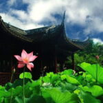Half-Day Private Tour to Nanxiang Ancient Town from Shanghai City - Practical Details and Value