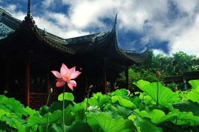 Half-Day Private Tour to Nanxiang Ancient Town from Shanghai City - Practical Details and Value