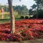 Half Day Private Tour to Yuntai Garden and Baiyun Mountain in Guangzhou - The Value Proposition