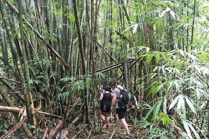 Half Day Rainforest and Waterfall Tour in Thailand - The Sum Up