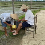 Half-Day Rural Adventure in Hoi An - Final Thoughts: Is This Tour Worth It?