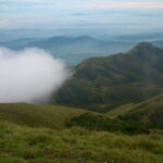 Half day Top Valley trek in Munnar - Who Will Love This Experience?