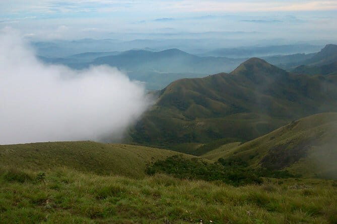 Half day Top Valley trek in Munnar - Who Will Love This Experience?