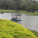 Half-Day Tour To Seethawaka Botanical Garden From Colombo - Who Should Consider This Tour?