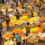 Half Day Tour to the Flower Market and Howrah Bridge in Kolkata - Who Will Enjoy This Tour?