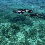 Half day tour with Snorkel at Sancturary and Sulpa island - Final Thoughts: Is It Worth It?