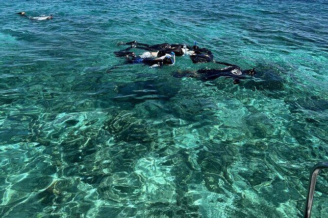 Half day tour with Snorkel at Sancturary and Sulpa island - Final Thoughts: Is It Worth It?