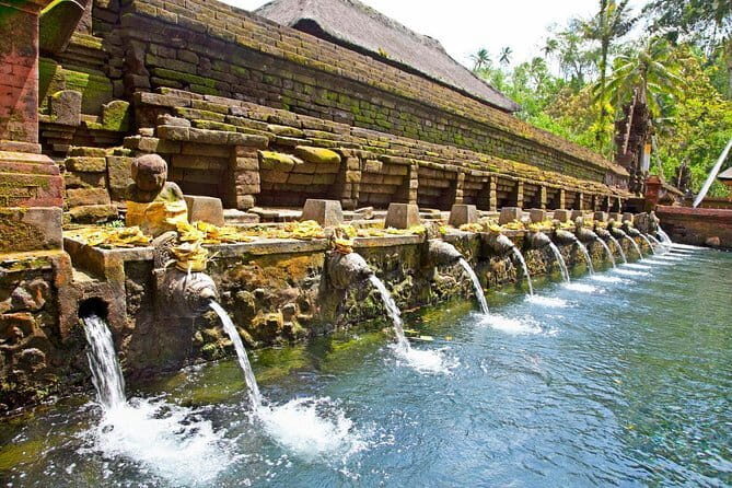 Half Day Ubud and Tampak Siring Private Tour From Bali - Who Should Consider This Tour?