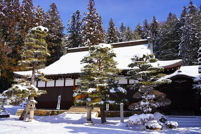 Half Day Walking Tour Takayamas Hidden Gems and Temple Walk - What’s Included and What to Consider