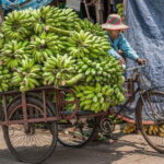 Half Day Yangon Local Adventure Tour - Practical Details & What to Expect
