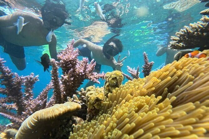 Halfday Snorkeling and Scuba Diving Experience from Nha Trang - A Complete Breakdown of the Tour Experience