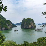 Halong Bay 2 Days-1 Night with Swan Cruise - Detailed Insights & Practical Tips