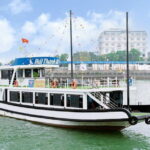 Halong bay Cruise Day Trip: Kayaking, Swimming, Surprise cave & Titop island - The Itinerary in Detail