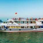 HALONG BEST SELLER -5 Star Day Cruise: Buffet Lunch, Wine& Fruit - The Authentic Feel: What Reviewers Mention