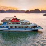 Halong Cozy Day Cruise From Hanoi By Express Limousine Bus - Deep Dive into the Highlights