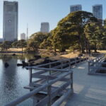 Hama Rikyu Private Tokyo Walking Experience - Final Thoughts: Is It Worth It?