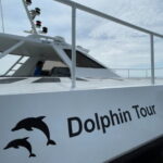 Hamo Yacht Cruise Dolphin Tour Ticket in Jeju - Final Thoughts: Is This Tour Right for You?