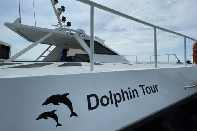 Hamo Yacht Cruise Dolphin Tour Ticket in Jeju - Final Thoughts: Is This Tour Right for You?