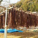 Handmade Japanese Paper Experience in Yoshino (Nara) - FAQ