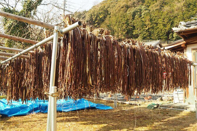 Handmade Japanese Paper Experience in Yoshino (Nara) - FAQ