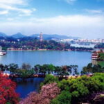 Hangzhou Private Day Trip from Suzhou by Bullet Train with Drop-off Options - Strolling Through Longjing Tea Fields