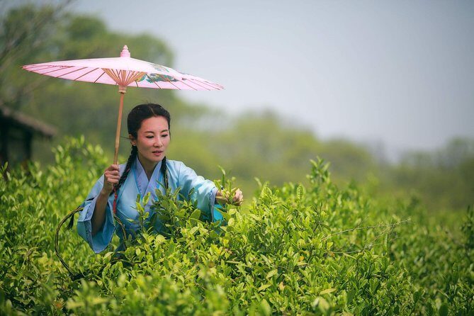 Hangzhou Westlake Highlights & Tea Path Hiking Tour from Shanghai by Train - Key Points