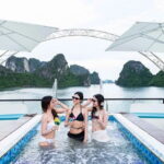 Hanoi 5 Star Sonata Cruise Ha Long Bay Day Trip with Live Music - Practical Details and Value