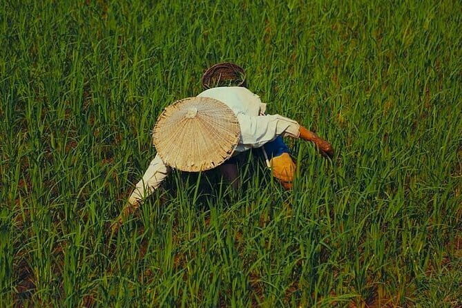 Hanoi: BEST Day Trip to Mai Chau Explore hidden charms, biking - Practical Tips for Your Trip