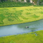 Hanoi: Explore Ninh Binh by Jeep Adventure, Boat Trip, Daily Life - Practical Details and What to Expect