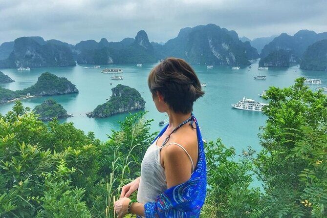Hanoi Halong Bay Ninh Binh and Sapa 6 Days 5 Nights Package Tour - Day 3: Exploring Ninh Binh – Land of Limestone and Rice Fields