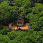 Hanoi: Luxury Day Trip to Bich Dong Pagoda and Trang An Grottoes - Authentic Experiences and Insider Tips