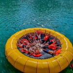 Hanoi to Ha Long & Lan Ha Bay: Premium Catamaran Cruise - Is This Tour Worth the Price?