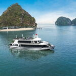 Hanoi to Halong Bay 5 Star Cruise with Jacuzzi and Local Lunch - The Experience Breakdown: What to Expect from Start to Finish