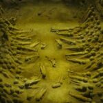 Hanyangling Museum, Terra Cotta Army Museum and Song of Everlasting Sorrow Tour - Who is This Tour Best For?