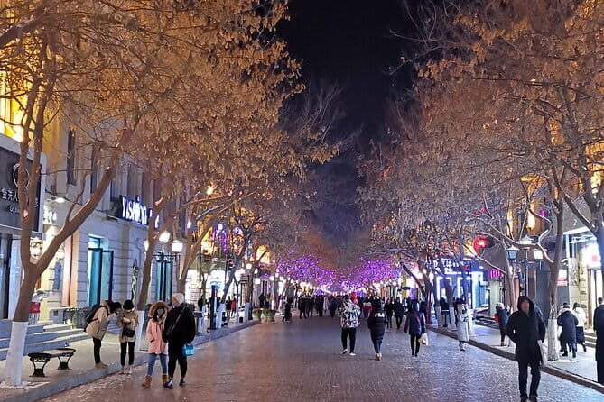 Harbin City Guided Tour to Zhongyang Street and Sophia Church - Practical Details & What You’ll Get