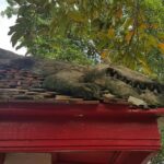 HD-02 Ride around Klong Bangkoknoi riverside communities - The Value of the Tour