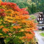 Hida Folk Village Museum Passes in Takayama Japan - Practical Details and Tips for Your Visit