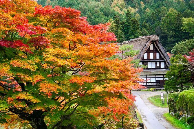 Hida Folk Village Museum Passes in Takayama Japan - Practical Details and Tips for Your Visit