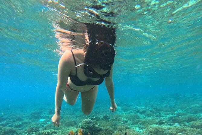 Hidden Gilis: Private Snorkeling Adventure to 5 Secret Islands - What’s Included and What You Should Expect