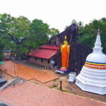 Hidden Temples and Secluded Coastlines from Galle City - Why This Tour Offers Great Value