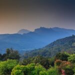 High Knuckles Trekking from Kandy - Authentic Insights from Reviews