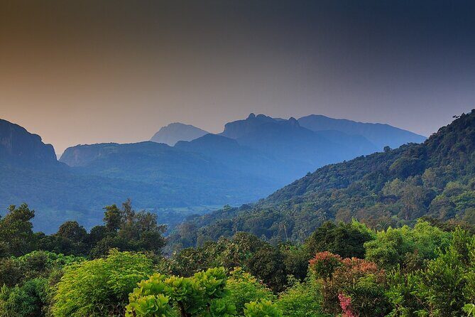 High Knuckles Trekking from Kandy - Authentic Insights from Reviews