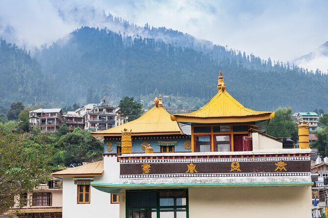 Highlights of Manali (Guided Full day Sightseeing Tour by Car) - Who Should Consider This Tour?