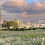 Highlights of South Korea Shared Guided Tour - What Travelers Are Saying